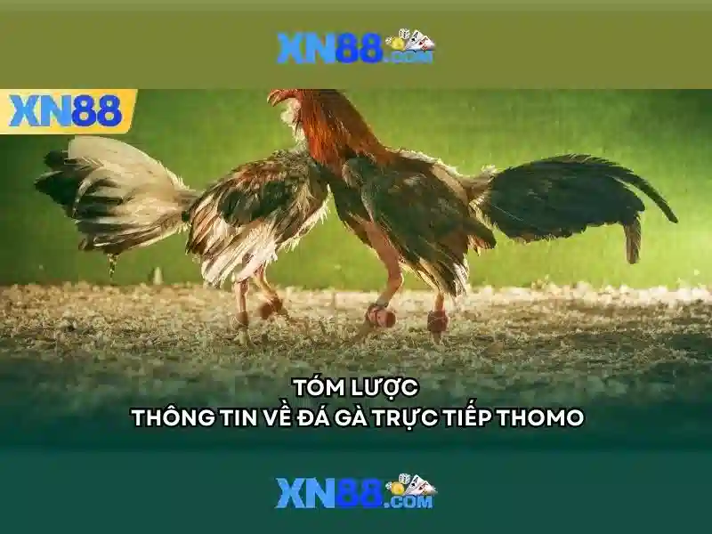 thủ thuật tối ưu hóa trải nghiệm