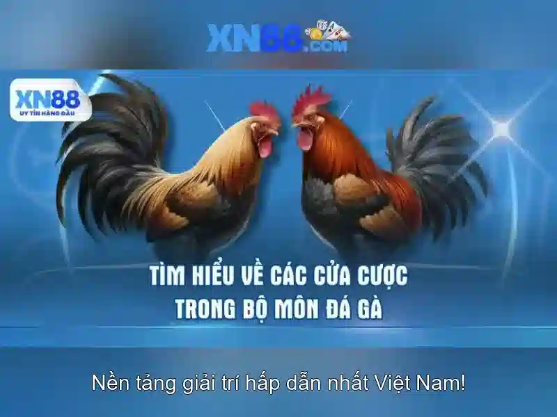 Cách đăng nhập XN88